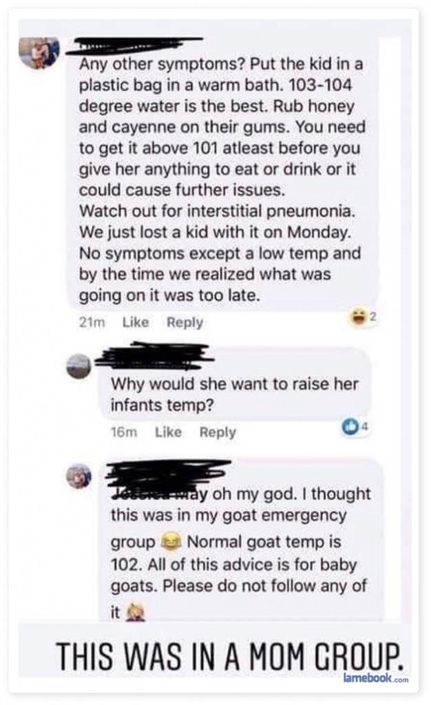 Animal Instincts
