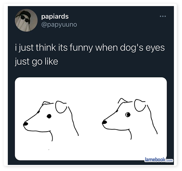 Glare Of The Dog