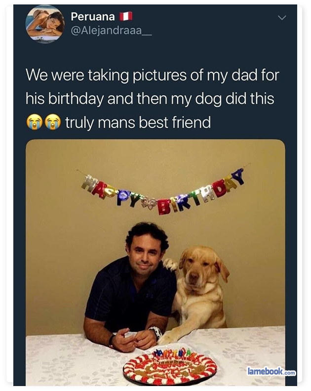 Good Dog Days