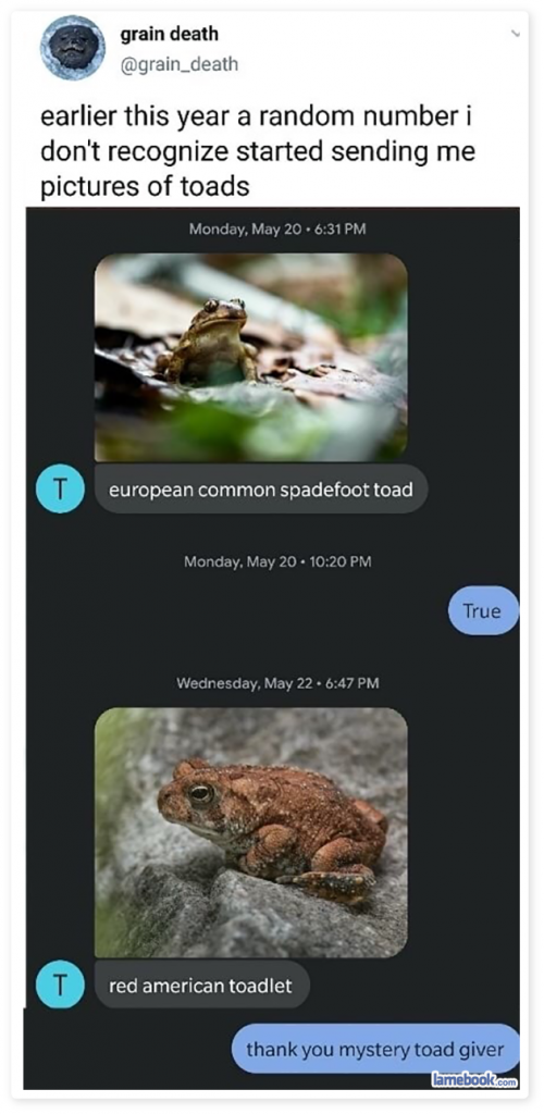 Toad Times Toad