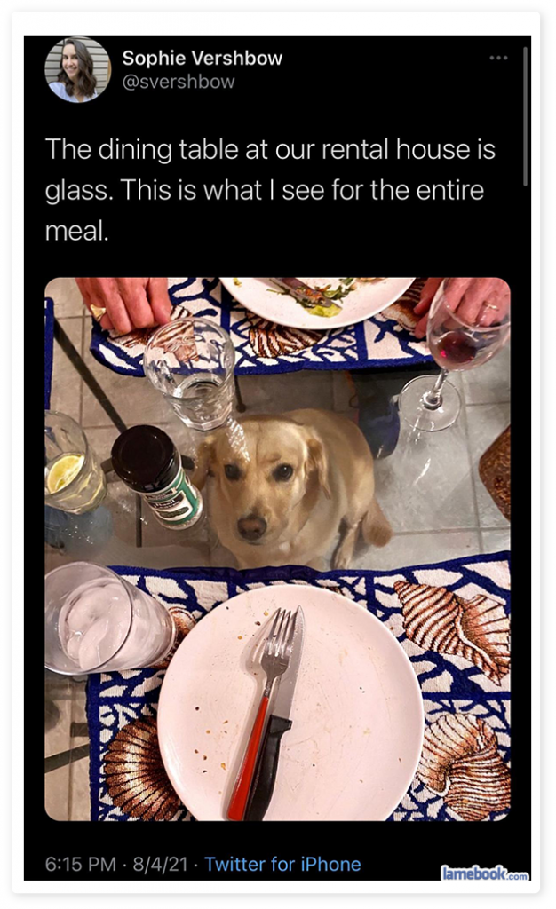 Clearly Hunger